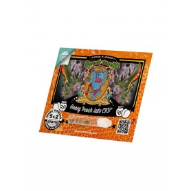 Honey Peach Auto CBD de Sweet Seeds 5u