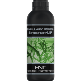 HNT CAPILLARY ROOTS STRETCH-UP 1L