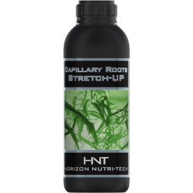 HNT CAPILLARY ROOTS STRETCH-UP 5L