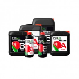 BLOOM A + B 10L - PRO-XL