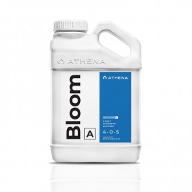 Athena Bloom A 0.94L
