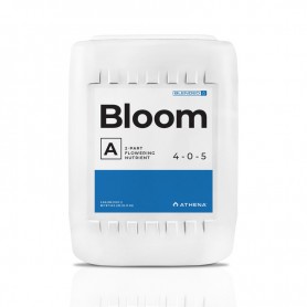 Athena Bloom A 3,78L