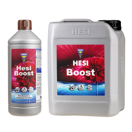 Boost de Hesi