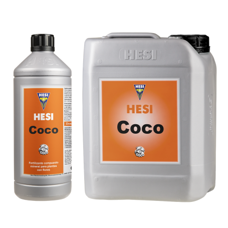 Coco de Hesi