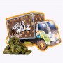 CBD Gorilla Grillz Green House Small Buds