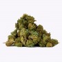 CBD Gorilla Grillz Green House Small Buds