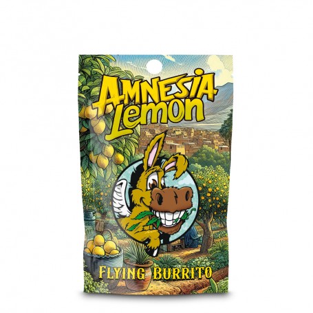 CBD Hash Flying Burrito Amnesia Lemon 2 gr.