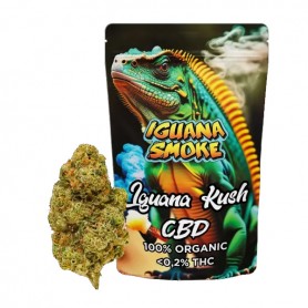 Cañamo CBD Iguana Smoke Iguana Kush 3 gr.