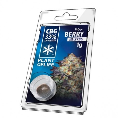 CBG Jelly 33% Blueberry Plant of Life