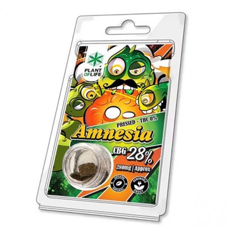 CBG Polen 28% Amnesia Plant of Life