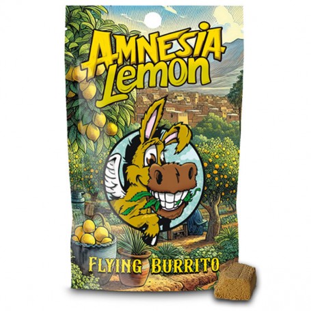 CBD Hash Flying Burrito Amnesia Lemon 10 gr.
