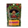 CBD Sweet Jane Indoor Guavalato
