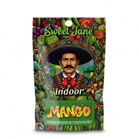 CBD Sweet Jane Indoor Mango