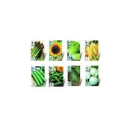Germinador Brotes Bioset