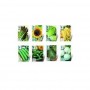 Germinador Brotes Bioset