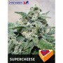 Super Cheese 5u - Positronics