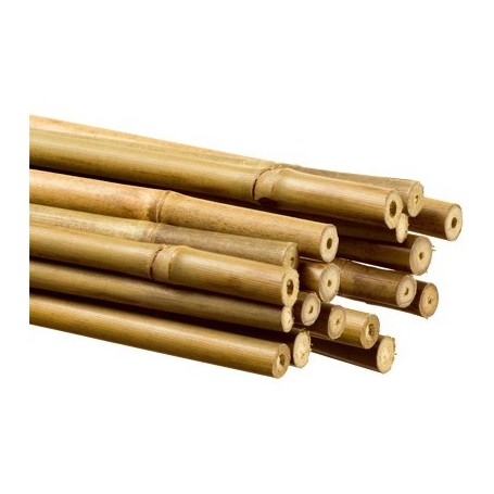 Tutor Bambú 105 cm