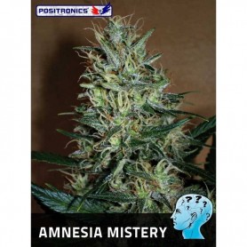 Amnesia Mistery de Positronics