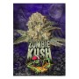Zombie Kush 1 - Ripper Seeds