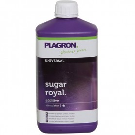 Sugar Royal de Plagron