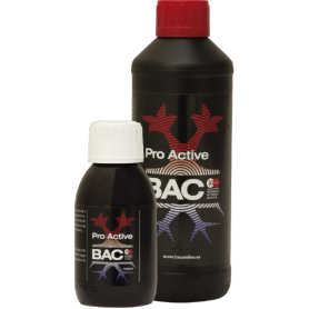 BAC  Pro Active