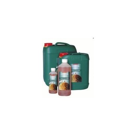Fertilizante-Catalizador Canna Zym 5L